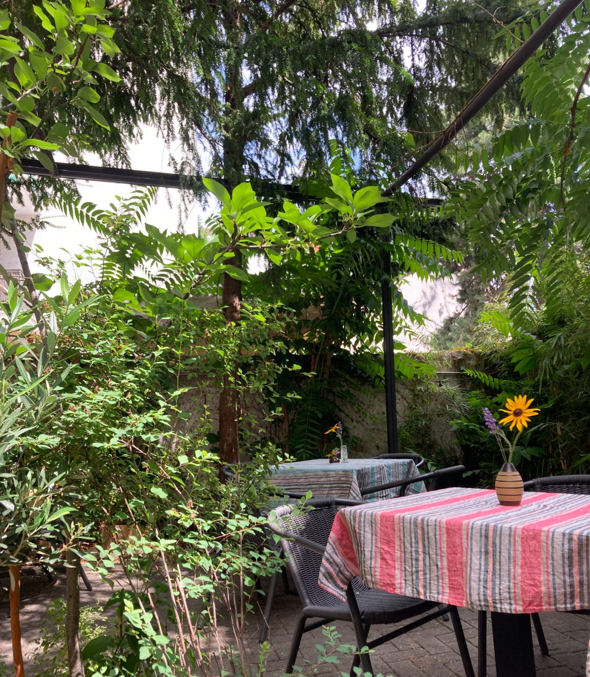 Garten mit Sitzplätzen bei Hase und Wolfshund